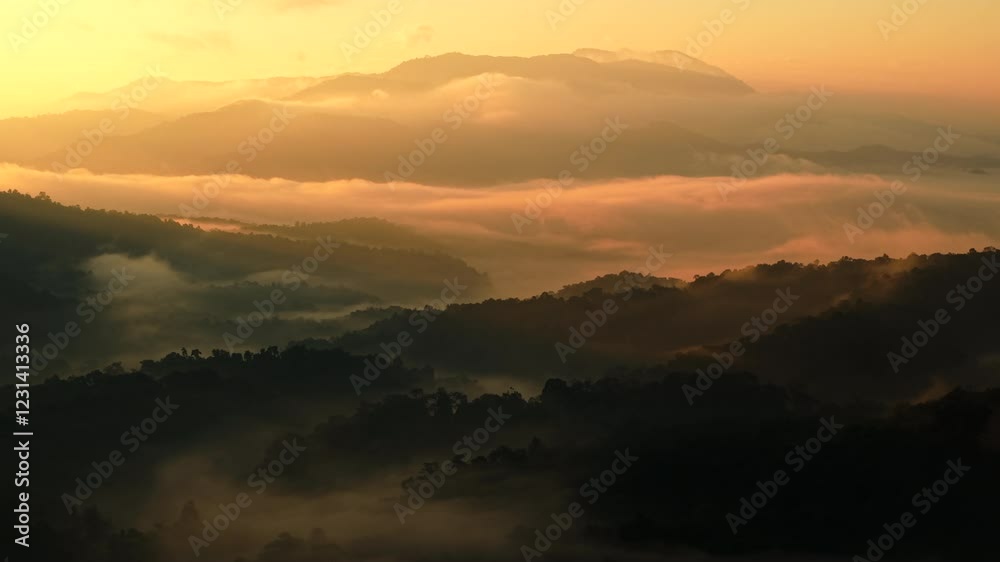 Aerial view of fog and trees in forest with morning sunlight. Aerial view of fog and trees in forest with morning sunlight.