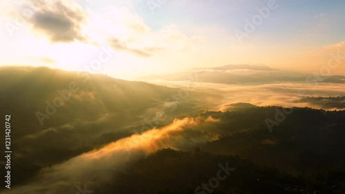 Aerial view of fog and trees in forest with morning sunlight.