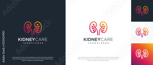 Kidney logo design. Kidney internal organ logo design vector icon
