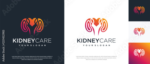 Kidney logo design. Kidney internal organ logo design vector icon