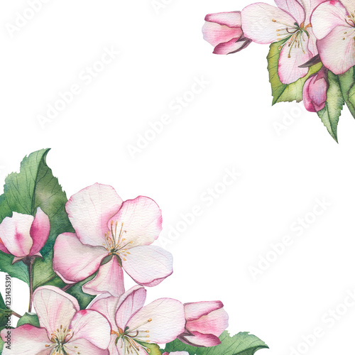 Watercolor apple bloom frame. Retro pink flowers (apple, cherry blossom). Floral frame for vintage greeting card. Aquarelle