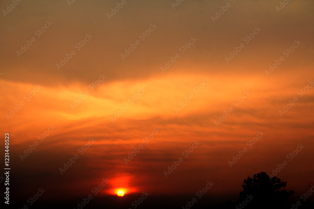 Obraz premium A suburban sunset in summer, bright and warm to enjoy.