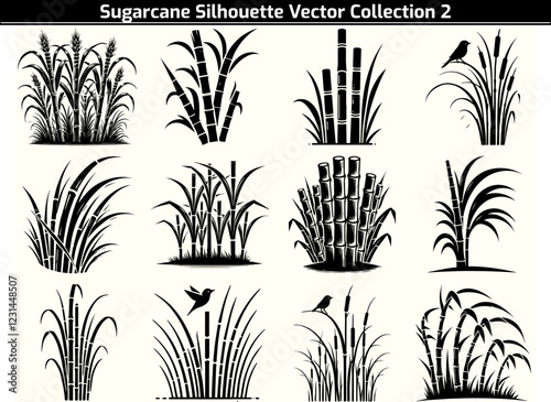 Set of Sugarcane Silhouette Vector Illustration photo