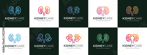 Collection of Kidney logo designs. Kidney internal organ logo design vector icon