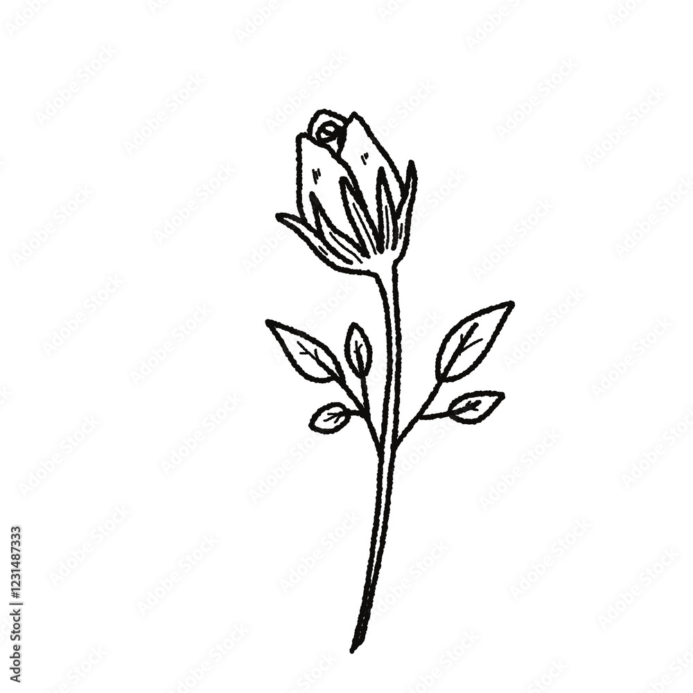 Obraz premium Valentine’s Day Rose Clipart Set – Hand-Drawn Floral PNG with Transparent Background