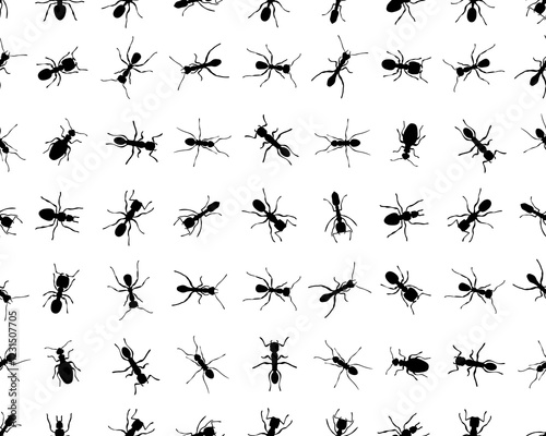 Black silhouettes of different ants on a white background, seamless wallpaper