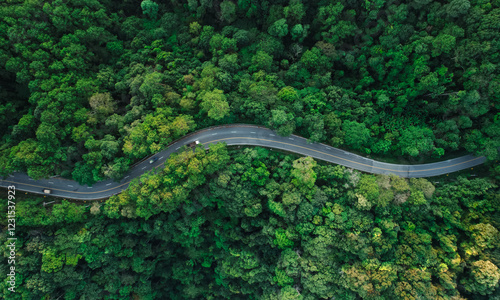 Aerial view of road and green forest at dusk. Travel and transportation with nature conservation.