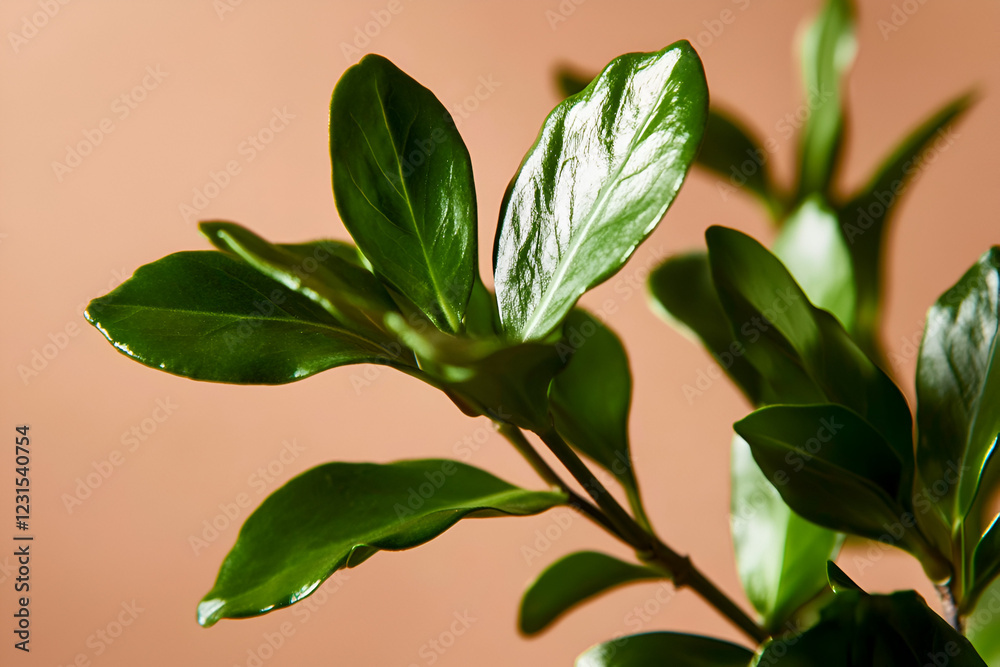 Green Leaves on a Peach Background: Lush, vibrant green leaves stand out against a soft, peach background, capturing a sense of tranquility and natural beauty in a minimal yet striking still life. Green Leaves on a Peach Background: Lush, vibrant green leaves stand out against a soft, peach background, capturing a sense of tranquility and natural beauty in a minimal yet striking still life.