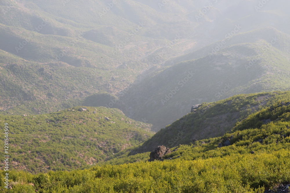 Fototapeta premium view from the top of mountain