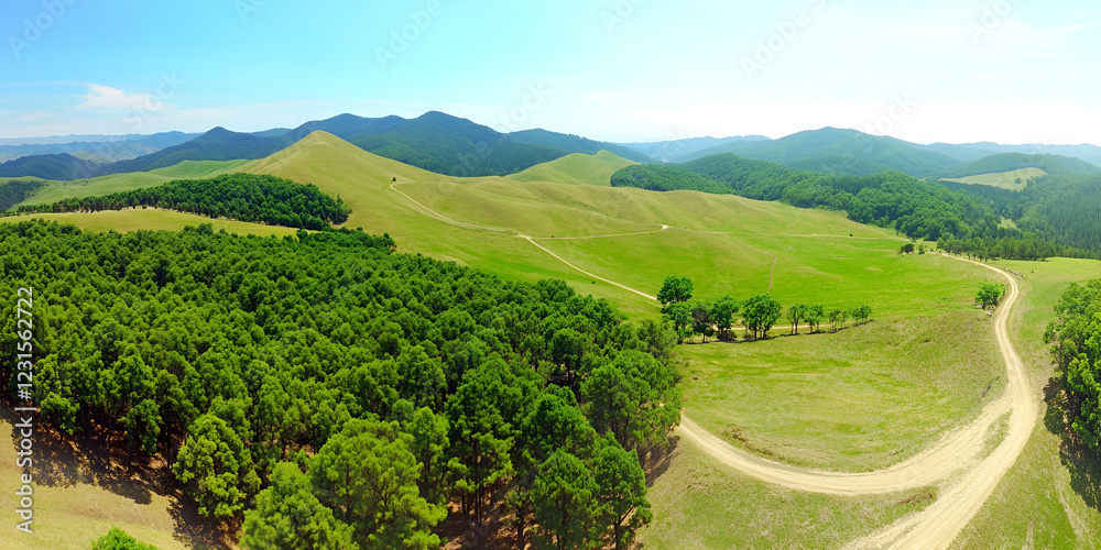 Obraz premium Serene Mountain Vista: An aerial panorama captures the breathtaking beauty of rolling green hills, lush forests, and a winding dirt road snaking through the landscape under a vibrant blue sky.