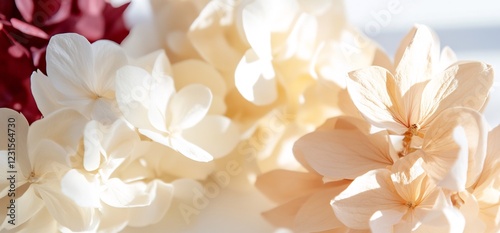Soft pastel flowers sunlight, close-up. Wedding, beauty