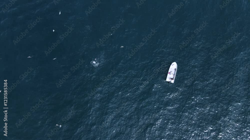 Small fishing boat navigating Cedros Island’s ocean waters peaceful maritime scene with seagulls gathering over active ocean waters Small fishing boat navigating Cedros Island’s ocean waters peaceful maritime scene with seagulls gathering over active ocean waters