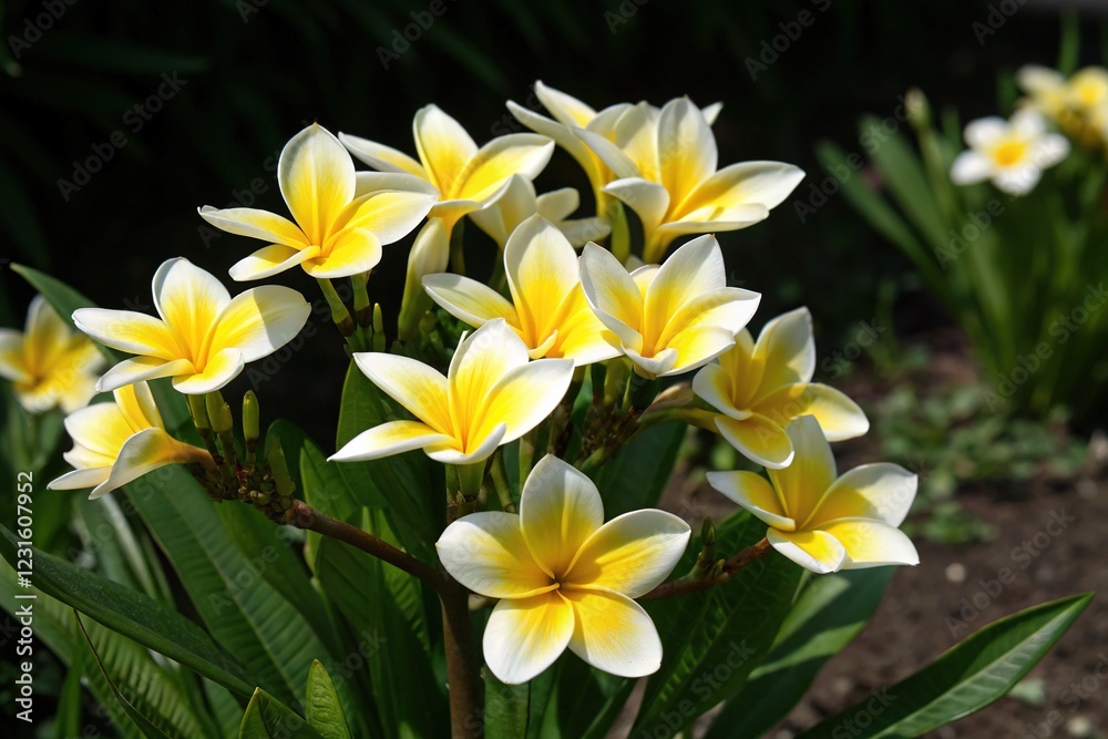 Fototapeta premium Yellow and White Flowers Bloom in Vibrant Beauty