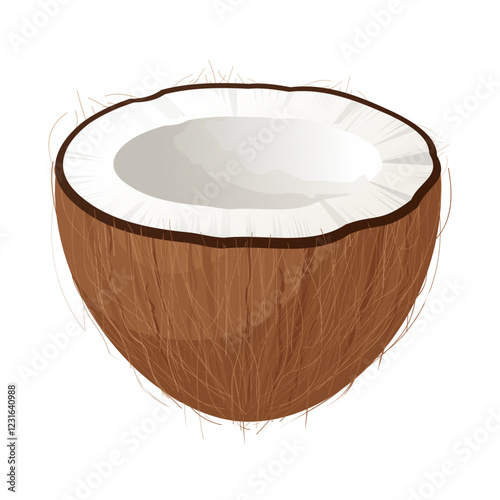 Half of coconut showing white flesh and brown hairy shell on white background