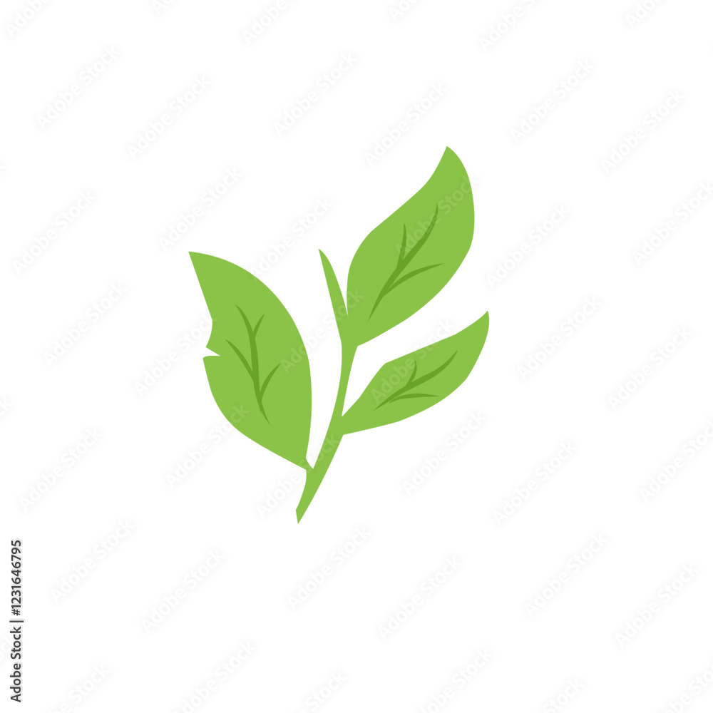 green leaf vector design green leaf vector design