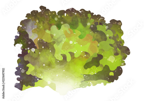 新鮮なレタスのイラスト素材