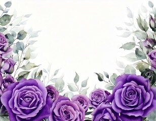  Purple rose flower watercolor border for wedding, birthday, card,