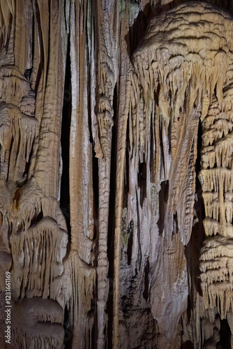 Foto Postojna Cave, Slovenia