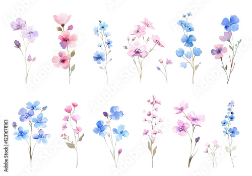 Various wildflowers in shades of pink, blue, and purple, painted in a soft watercolor style, vector illustration with natural elegant aesthetic.