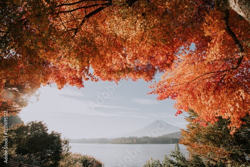 Fuji mountain view. The most famous mount in japan photo