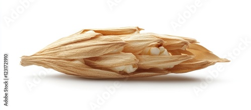 Detailed close-up view of a single popcorn kernel husk, showcasing its beige texture and natural curves, positioned centrally on a white background. photo