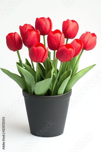 Wallpaper Mural Red tulips in black pot, isolated on white background for spring, gift, or decoration use Torontodigital.ca