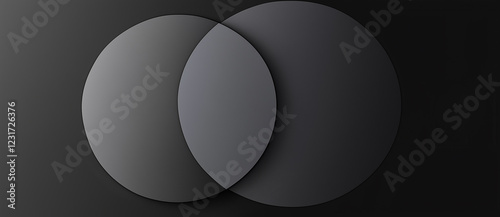 A striking black and gray background with two overlapping circles at the center, creating a bold geometric composition. The design follows a monochromatic color scheme with minimalist style, offering  photo