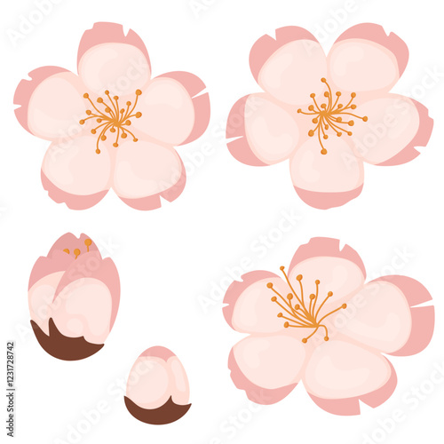 simple and cute image of cherry blossoms on hanami