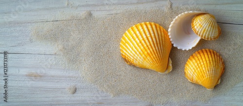 Yellow cockleshells arranged on a sandy texture atop a light grey wood table, showcasing a coastal theme with vibrant yellow and neutral tones.