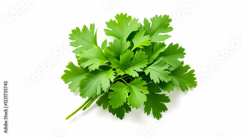 Fresh parsley leaves, ideal for food styling and organic ingredient branding photo