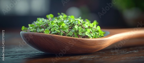 Fresh microgreens in a wooden spoon, positioned centrally on a rustic wooden table, with a soft focus background featuring warm tones. photo