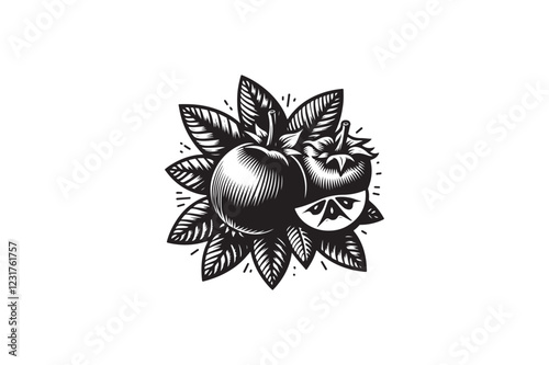 A Medlar fruit vector silhouette black and white image. eps