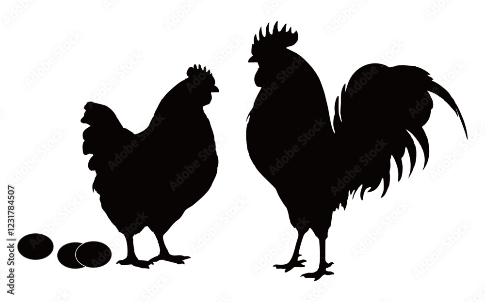 Fototapeta premium silhouette chicken