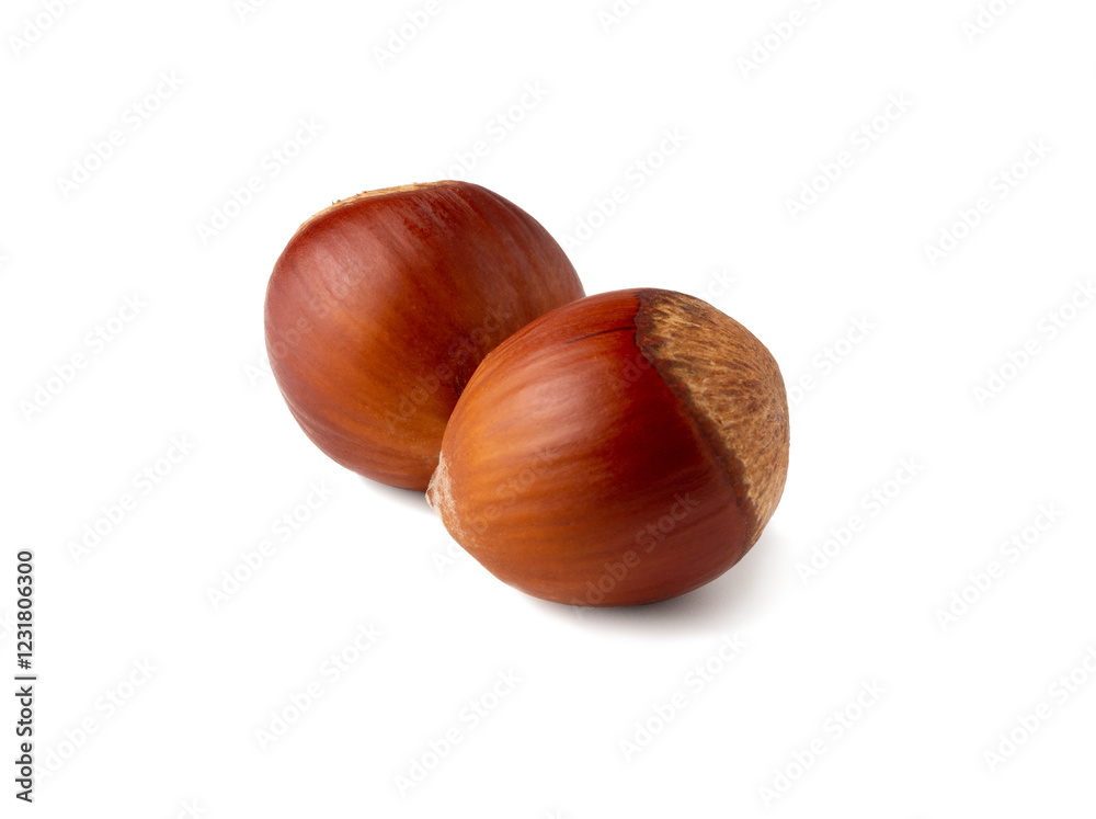 Two glossy chestnuts rest side by side on a stark white surface, showcasing their deep brown hue and velvety tops. The simplicity highlights their natural beauty and rich textures. Two glossy chestnuts rest side by side on a stark white surface, showcasing their deep brown hue and velvety tops. The simplicity highlights their natural beauty and rich textures.