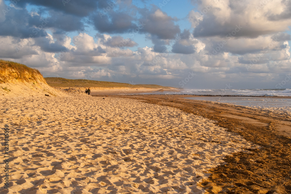 Słoneczne wakacje w Mimizan-Plage, Aquitaine (France)