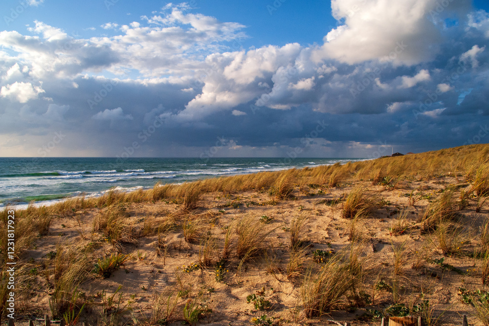 Słoneczne wakacje w Mimizan-Plage, Aquitaine (France)