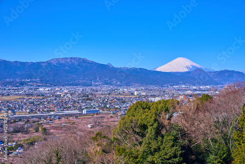 神奈川県小田原市の曽我梅林と市街地の眺望(小田原市,富士山,矢倉岳など) photo