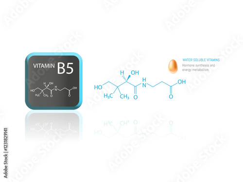 Illustration of the molecular structure of vitamin B5 (pantothenic acid) with iconography highlighting its role in hormone synthesis and energy metabolism.