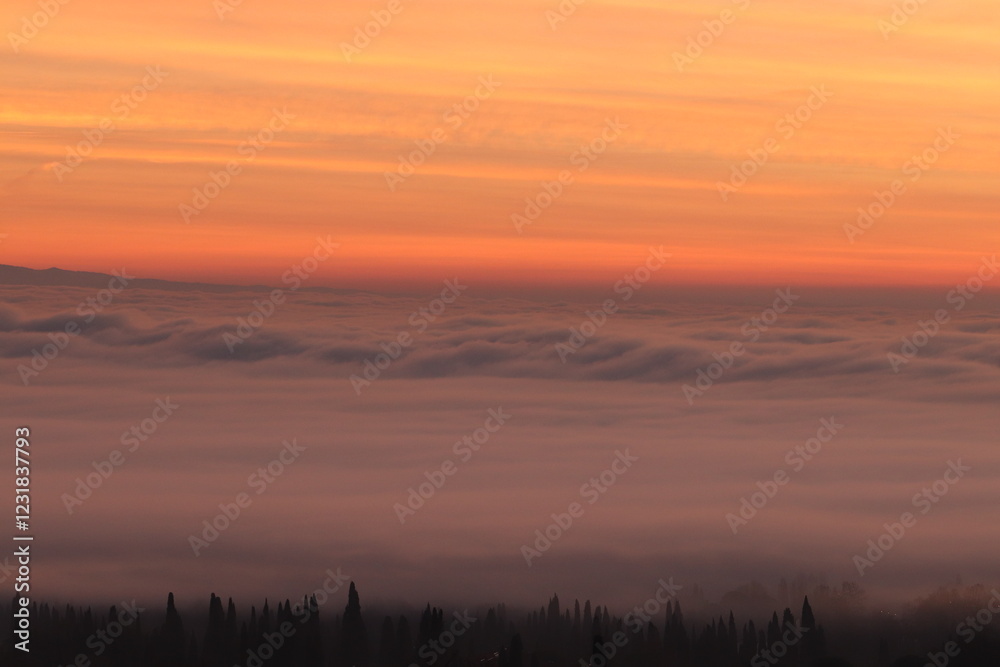 Obraz premium panorama con nebbia