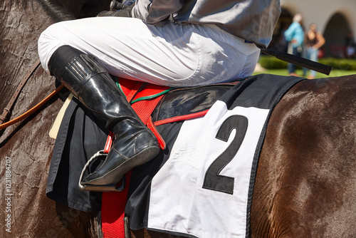 Race horse with jockey detail. Purebred in the hippodrome. Turf photo