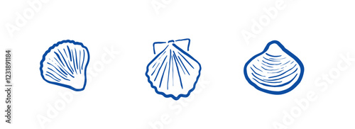 set of hand drawn vector sea shells. doodle whimsical underwater shells. sea witch shells on transparent backgoung