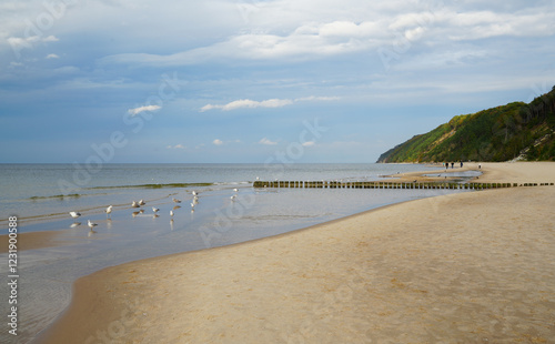 Fototapeta Naklejka Na Ścianę i Meble -  Międzyzdroje, Poland, Baltic sea and beach