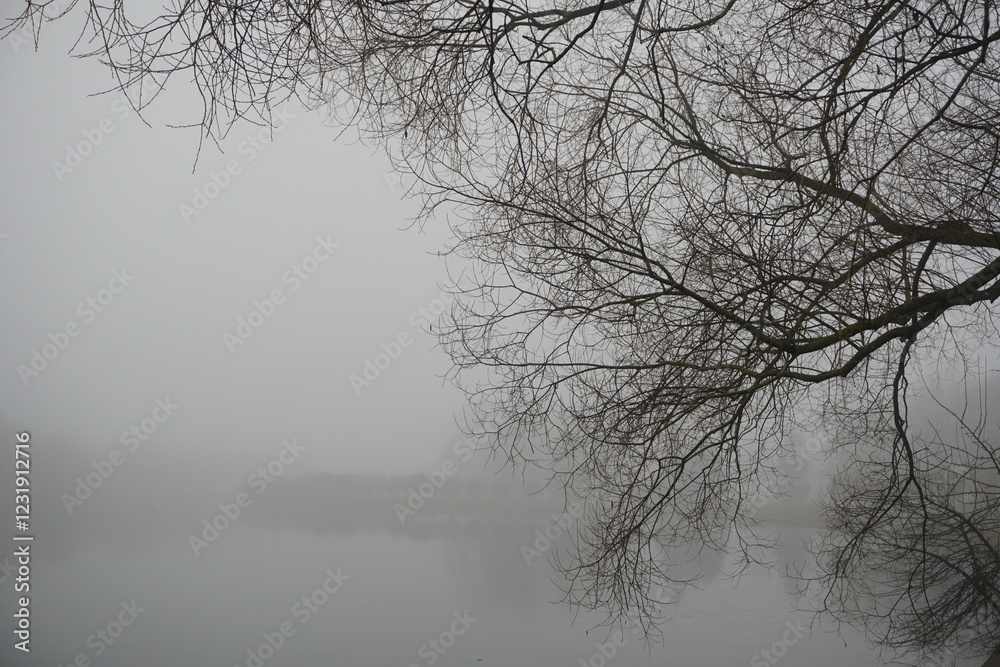 Mysticism of a foggy morning. Pond, trees on the shore. Reflection. Winter. Warm January Mysticism of a foggy morning. Pond, trees on the shore. Reflection. Winter. Warm January