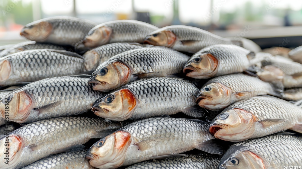 Freshly caught fish displayed at a market featuring a vibrant assortment in a bustling coastal village Freshly caught fish displayed at a market featuring a vibrant assortment in a bustling coastal village