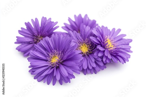A group of purple flowers sit on a white surface, offering a burst of color and beauty