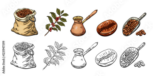Engraving, coffee sketch, vector illustration in color and line. Coffee bag, beans, branch, coffee turk