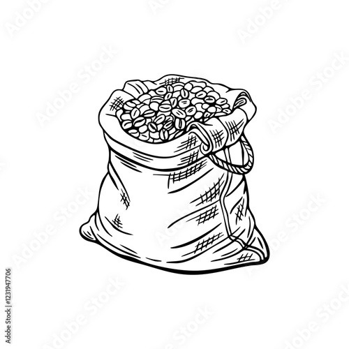 Engraving, coffee bean bag, vector illustration in color and line sketch