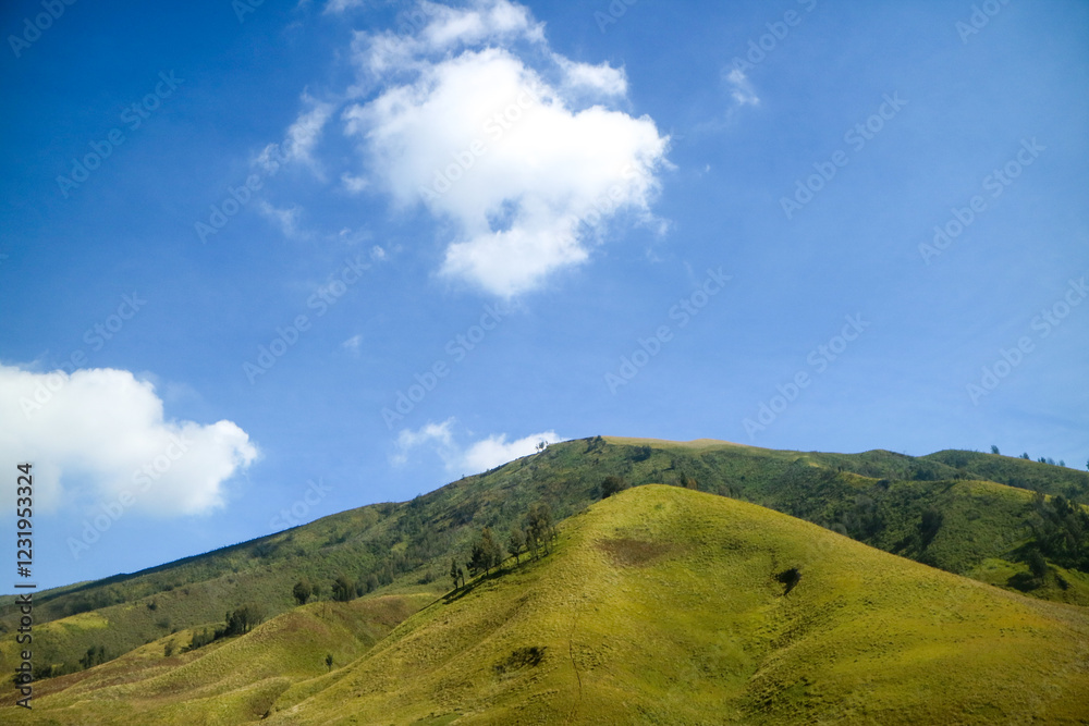 grass savannah with hills and blue sky