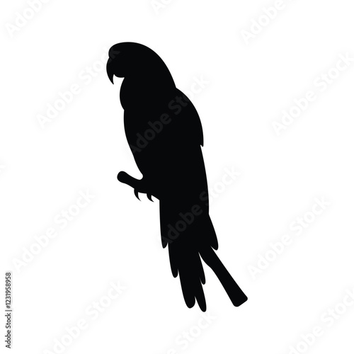Macaw bird silhouette vector design isolated on a white background