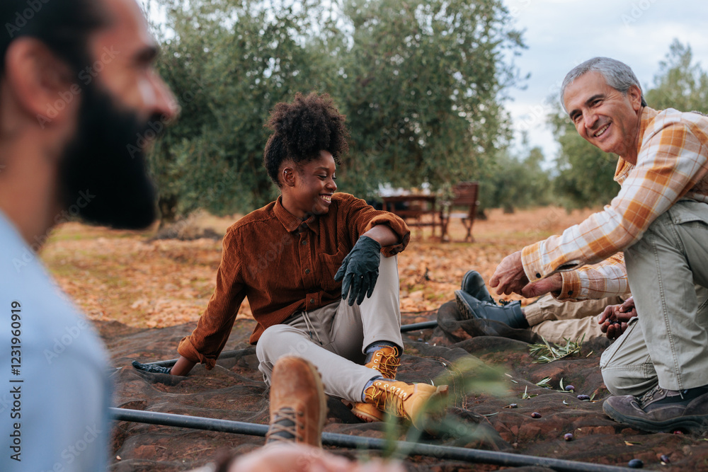 Farmers harvesting olives in olive grove, enjoying teamwork and collaboration Farmers harvesting olives in olive grove, enjoying teamwork and collaboration
